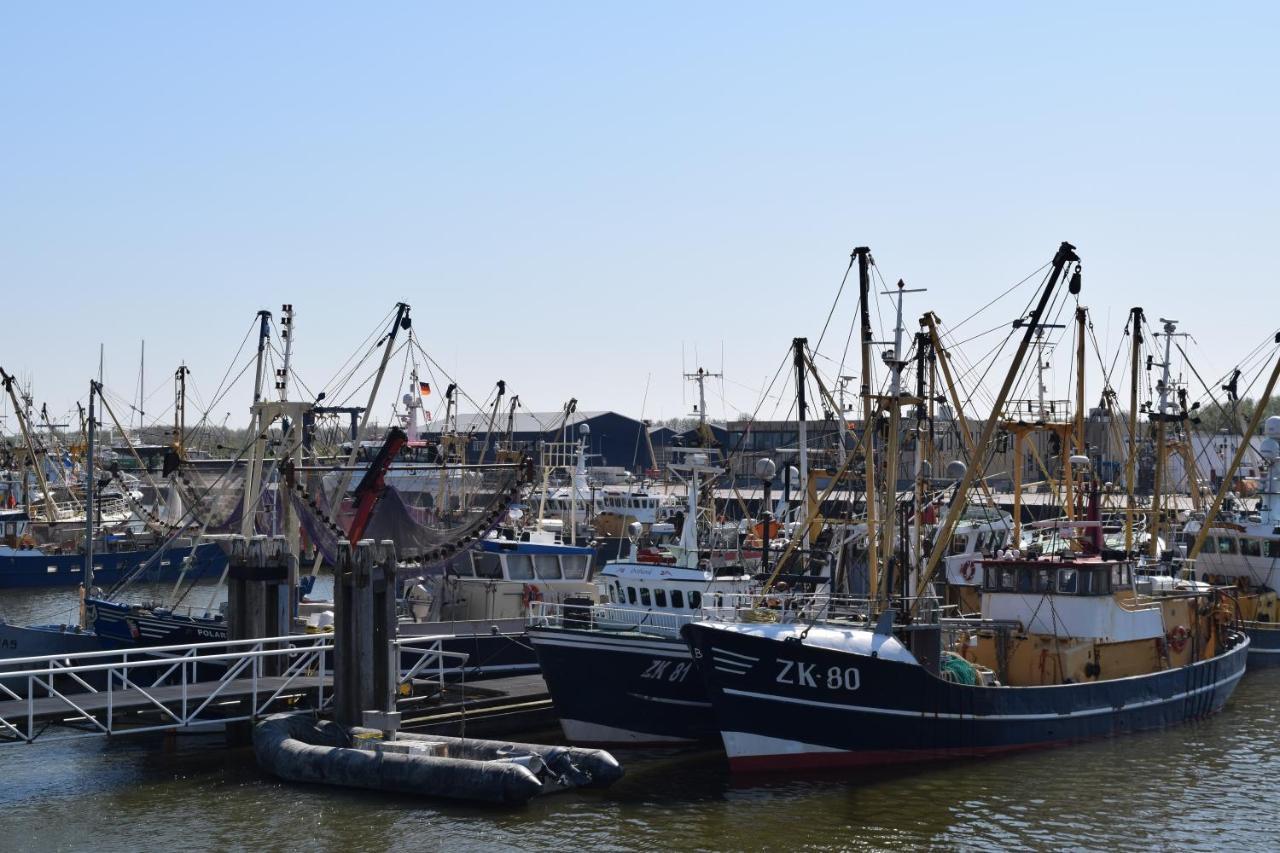Ee"Het Steechje" In Ie Bij Schiermonnikoog En Ameland公寓 外观 照片