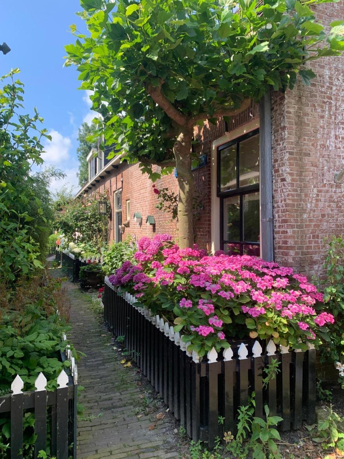 Ee"Het Steechje" In Ie Bij Schiermonnikoog En Ameland公寓 外观 照片